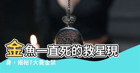 金魚一直死